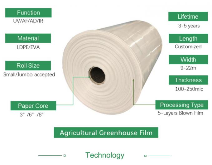 Protección ultravioleta polivinílica barata película plástica del invernadero de 200 micrones con precio de fábrica