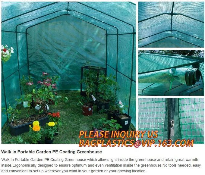Hoja plástica Mini Garden Green House Walk agrícola del policarbonato en bóveda