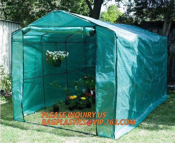 Hoja plástica Mini Garden Green House Walk agrícola del policarbonato en bóveda
