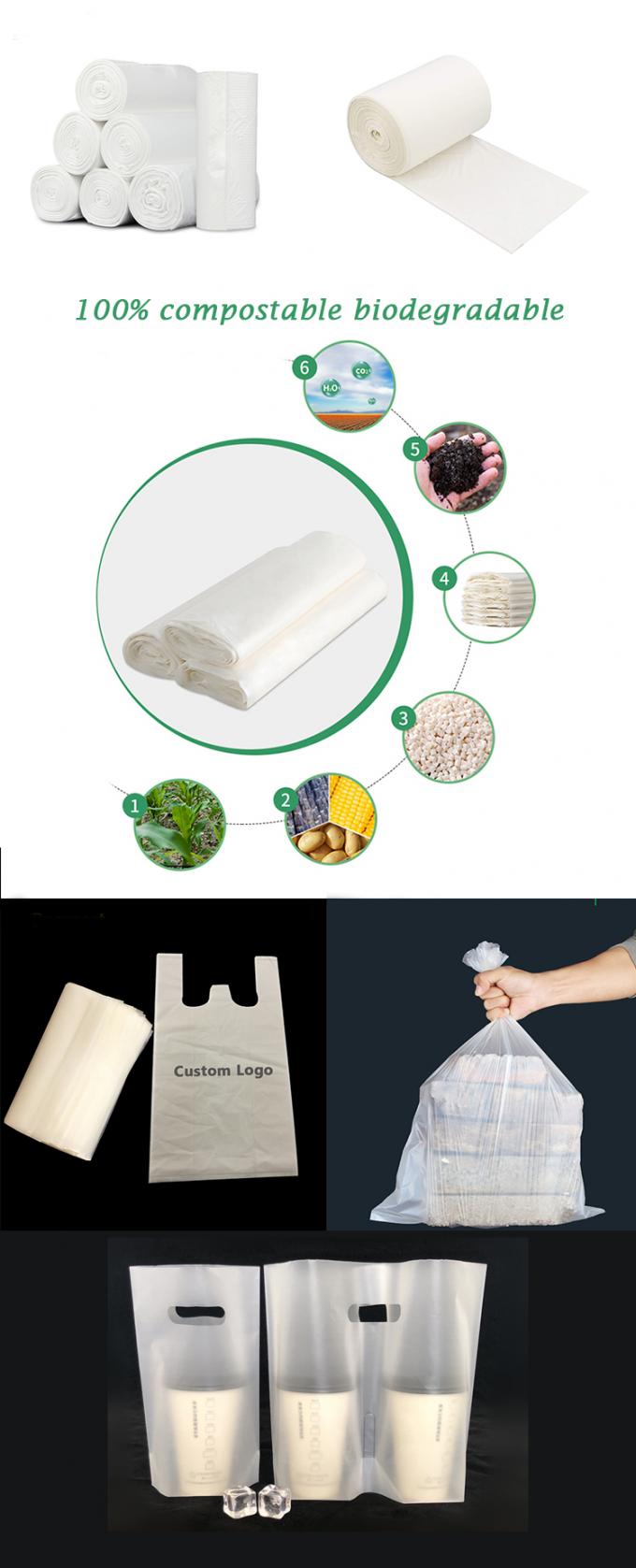 La aduana amistosa de Eco imprimió bolsos plásticos biodegradables abonablees de la cerradura de la cremallera del 100%