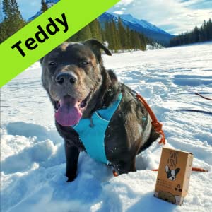 los bolsos de basura abonablees plásticos biodegradables amistosos del eco, maicena hicieron el 100% biodegradable 2