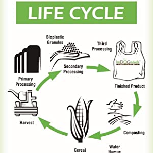 Bolsos del impulso abonablees