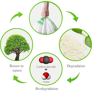 la maicena abonable para proteger los bolsos planos del ambiente en el rollo para el paquete de la comida para aceptar crea la impresión para requisitos particulares 1