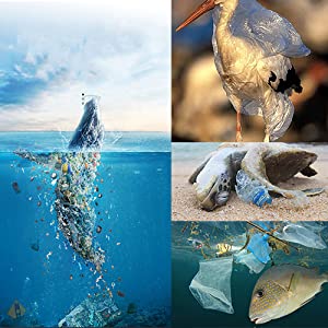 Bolso limpio de la basura del perro del dispensador del bolso de la basura del animal doméstico del bolso del impulso del perro de la forma del hueso del animal doméstico respetuoso del medio ambiente de los trazadores de líneas de la papelera de Unscented 1