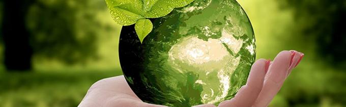 Bolso plástico abonable de la camiseta de la manija de la comida de la maicena que hace compras, paquete plástico degradable y abonable modificado para requisitos particulares de la comida 10