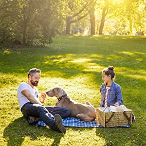 El bolso de la basura del animal doméstico del bolso del impulso del perro del dispensador del bolso del impulso del perro, limpieza al aire libre del perro del bolso inútil del animal doméstico empaqueta bolsos biodegradables del impulso 7