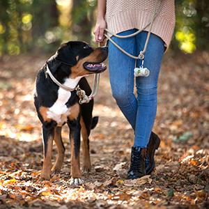 Unscented, impulso hermético, Tierra-amistoso del bolso de la basura del perro empaqueta el bolso biodegradable al por mayor impreso aduana del impulso del perro casero 4