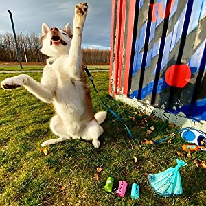 Bolso Planta-basado de la basura del perro | Abonable casero | Repuesto Rolls del dispensador | La prueba Poo del escape de Unscented empaqueta bio amistoso de Eco 0