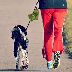 El bolso de basura biodegradable abonable del bolso de basura de 64 galones, 0,9 milipulgadas, 47" W X 60" H, maicena hizo Eco 100% amistoso dirige 1