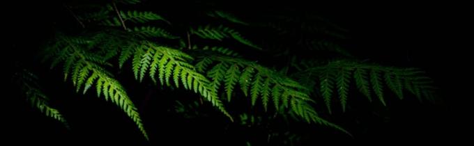 La entrega reforzada de la comida aisló un bolso más fresco, almuerzo aislado comida campestre reciclable de encargo promocional del papel de aluminio 0