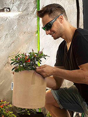 300G resistente espesó los potes no tejidos de la tela de la planta que la correa maneja galones bolsos/6-Packs de la planta de jardín 5 crece los bolsos/Aerati 5