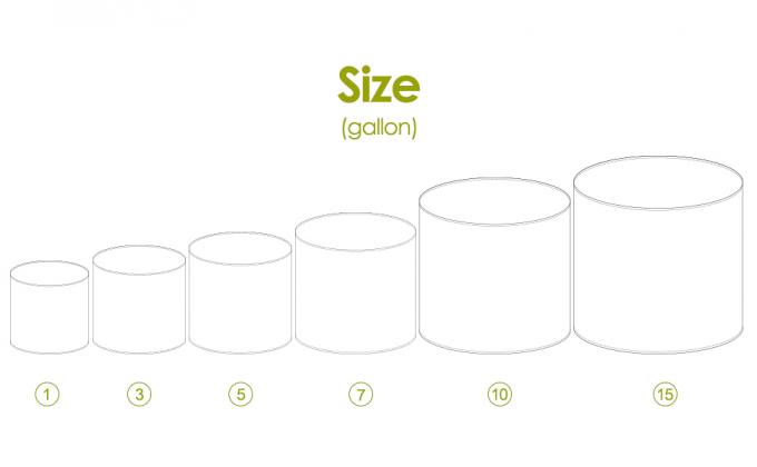 DELXO CRECEN EL BOLSO