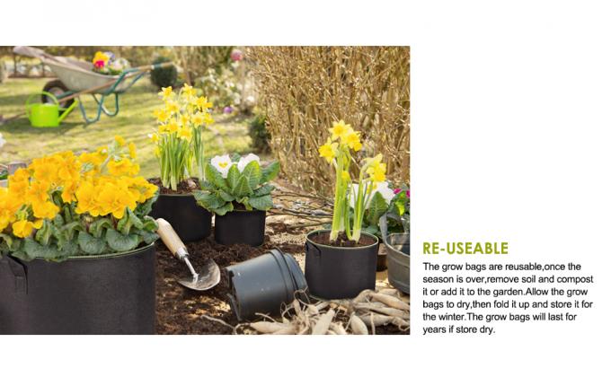 DELXO CRECEN EL BOLSO