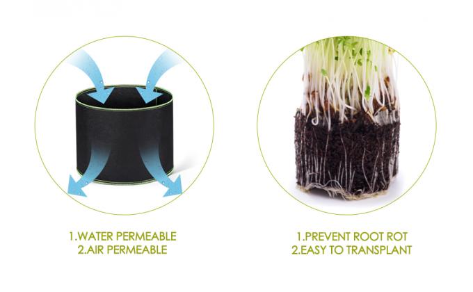 DELXO CRECEN EL BOLSO