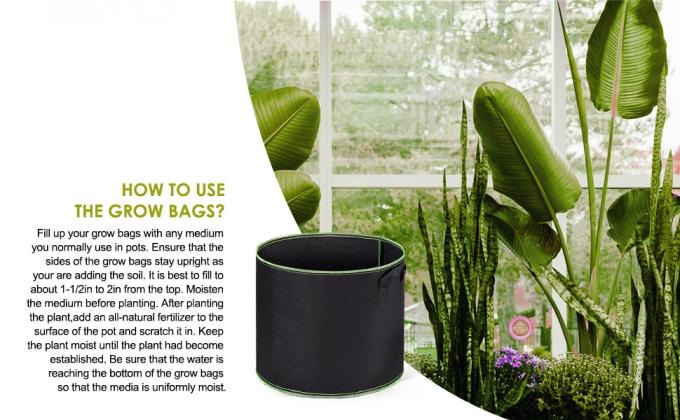 DELXO CRECEN EL BOLSO