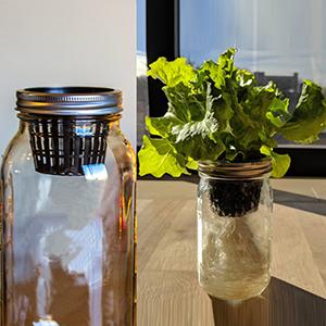 Verdura hidropónica creciente comercial del invernadero de los sistemas de Aquaponics del hidrocultivo de la planta de la cesta interior agrícola de la red 2