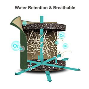 la patata crece el bolso