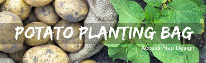 Plantas ventiladas que plantan el bolso