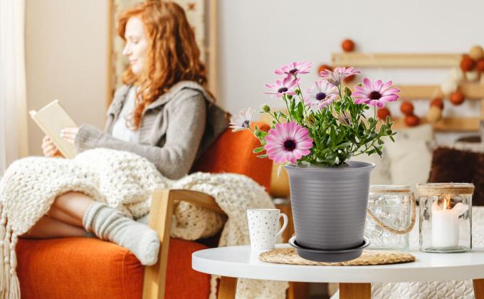 Plantas con el cubo creciente hidropónico del pote del drenaje para el invernadero, cubo holandés, potes del cuarto de niños de la flor, jardín del balcón 6