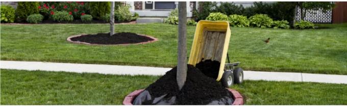 Artículo de la tela del paisaje de la barrera de la mala hierba del jardín y estera que cultiva un huerto del bloque resistente de la mala hierba, fácil instalación y control de malas hierbas superior 0