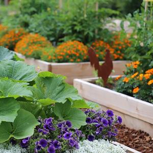 Tela que cultiva un huerto modificada para requisitos particulares Rolls, control de malas hierbas, respetuoso del medio ambiente, cama de flor, pajote, pavimentadoras, ribete, participaciones del grado del jardín 14