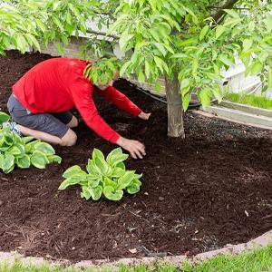 Tela que cultiva un huerto modificada para requisitos particulares Rolls, control de malas hierbas, respetuoso del medio ambiente, cama de flor, pajote, pavimentadoras, ribete, participaciones del grado del jardín 18