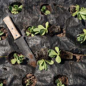 Tela que cultiva un huerto modificada para requisitos particulares Rolls, control de malas hierbas, respetuoso del medio ambiente, cama de flor, pajote, pavimentadoras, ribete, participaciones del grado del jardín 19