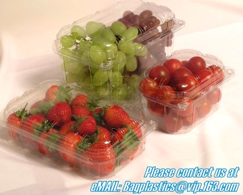 Café, habas, caramelo, azúcar, arroz, hornada, galleta, té, nueces, frutos secos, flores secadas, polvo, bocado, comida secada Stora