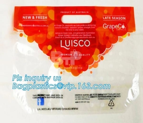 El empaquetado de la fruta del diseño del OEM suministra el mango del bolso de la protección de la fruta del tomate de cereza, uva Cherry Vegetable Packing Prote de la fruta