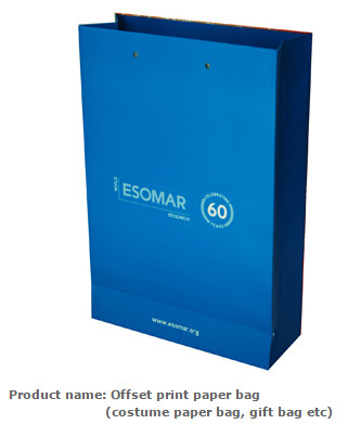 Los deportes llevan las bolsas de asas que embalan, bolsas de papel del embalaje de Shoebox, bolsos impresos del traje, de papel llevan los bolsos, bolsos de la impresión en offset