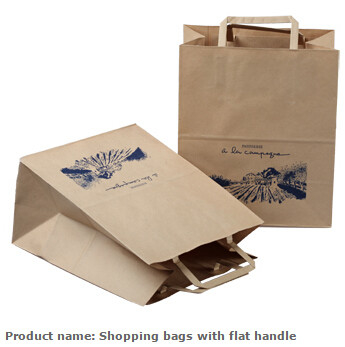 Los deportes llevan las bolsas de asas que embalan, bolsas de papel del embalaje de Shoebox, bolsos impresos del traje, de papel llevan los bolsos, bolsos de la impresión en offset