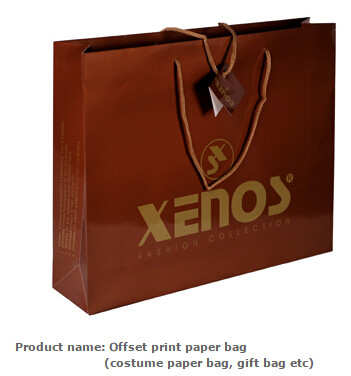 Los deportes llevan las bolsas de asas que embalan, bolsas de papel del embalaje de Shoebox, bolsos impresos del traje, de papel llevan los bolsos, bolsos de la impresión en offset