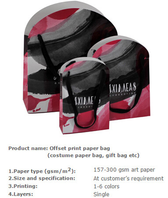 La bolsa de papel de Cooperplate, bolso del traje de la impresión en color, bolso del embalaje de la ropa, viste el bolso que hace compras, bolso del regalo de la Navidad, coche