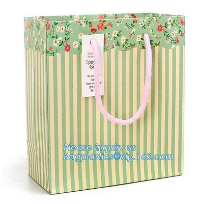 Bolsas de papel reciclables durables de lujo del regalo del portador que hacen compras con el logotipo modificado para requisitos particulares, bolsa de papel del portador Pap promocional de lujo