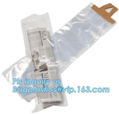 LA BOLSA DE HIELO, BOLSOS DEL CONGELADOR, BOLSOS VEGETALES, BOLSOS DE LA CEREZA DE LA FRUTA, TIENDA DE DELICATESSEN EMPAQUETA, WICKETED EMPAQUETA, LOS BOLSOS DE LA GRAPA, BOLSOS DE LOS PASTELES, BAGPLASTI
