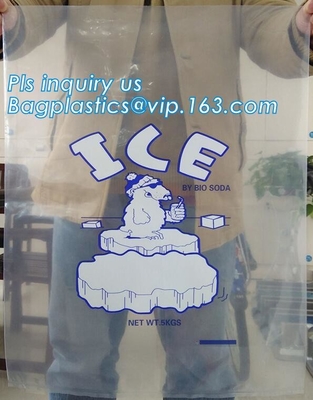 Los paquetes de ECO PACKCold y los bolsos de hielo, las bolsas de hielo, los paquetes del gel, los bolsos de hielo y las bolsas, bolsos de hielo disponibles, lo guardan las bolsas de hielo frescas