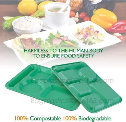 impresión de encargo del logotipo de las cajas de los alimentos de preparación rápida, envase de comida plástico abonable, foo el 100% abonable renovable del PLA del eco-producto