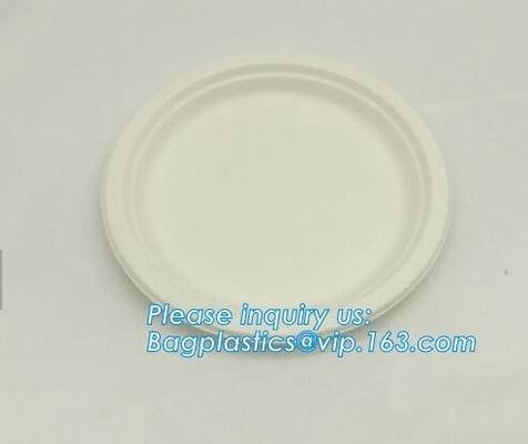 Placa biodegradable del bagazo de la caña de azúcar del verde de la categoría alimenticia de la placa, 10&quot; bagease oval disponible respetuoso del medio ambiente pac de la placa de la caña de azúcar