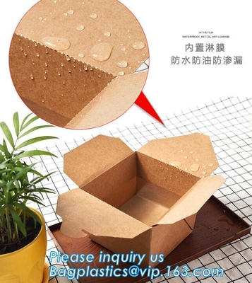 Caja de empaquetado para llevar de la ensalada de la fiambrera de papel de Kraft de la comida disponible de la caja, fiambrera marrón de papel de Kraft de la fuente con triunfo claro