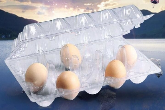 cubierta de 2 compartimientos, fabricante real amistoso del eco rectangular, tipo plástico de los pp y fiambreras de la bandeja aprobados por la FDA