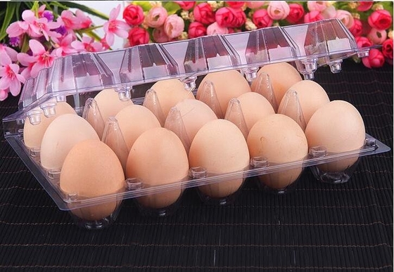 Los envases plásticos vendedores calientes del bocadillo del ANIMAL DOMÉSTICO apelmazan la caja de la comida para llevar del plástico del envase del pan con bagease combinado de la cubierta