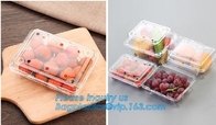 Envase de comida de empaquetado de la ampolla, envase disponible de la ensalada de fruta de la ampolla, caja plástica de la fruta de la ampolla/envase/fruta