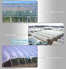 El invernadero resistente ultravioleta de la película de 200 micrones perforó el establecimiento agrícola de la verdura de la película del pajote