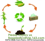 Bolsos que se puede volver a sellar del PLA de Eco del verde del Bioplastic del almacenamiento abonable casero de la comida, comida, regalo, hogar, restaurante, tienda, ultramarinos