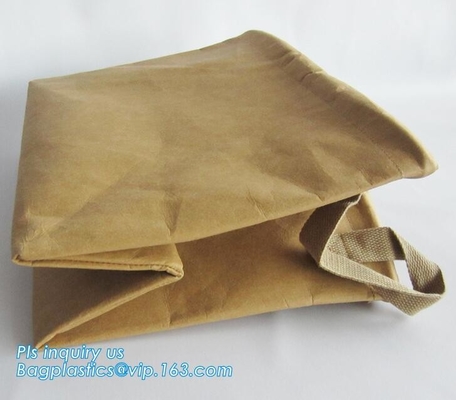 El documento de papel reciclable del bolso del almacenamiento de Du Pont Tyvek Kraft, bolso aislado almuerzo de Du Pont Tyvek, recicla Waterpr respetuoso del medio ambiente