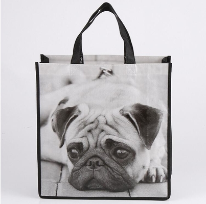 Bolso no tejido laminado negro de la aduana 80 GPP, bolso no tejido vendedor caliente de la aduana de la fuente del OEM de la fábrica, promocional no tejido