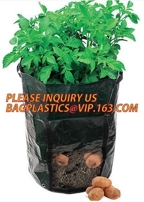 Smart crece los bolsos para los potes de la tela de la patata/del envase/de la aireación de la planta con las manijas que la tela planta los potes con las manijas, interiores