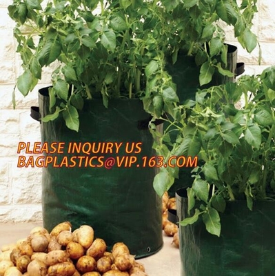 Smart crece los bolsos para los potes de la tela de la patata/del envase/de la aireación de la planta con las manijas que la tela planta los potes con las manijas, interiores