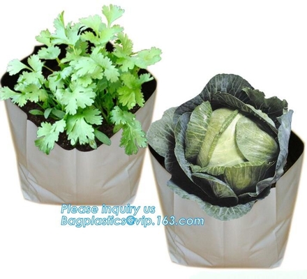 Drene el color Bolso-blanco cada vez mayor crecen al plantador crudo de Bags-100%Virgin PE empaqueta grueso de -25Gallon 150Microns que planta el bolso, PAC