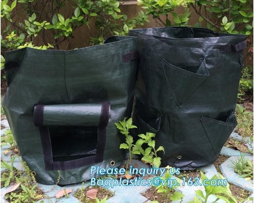 100 galones de /200/300 broncean el árbol para crecer el bolso 100gallon crecen el bolso para los árboles de la planta, verduras crecen bolsos que plantan los bolsos que crecen bolsos